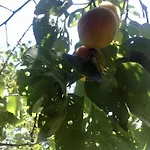 Apartman 14 Posti Con Cucina E Parcheggio Privato Gratuito *